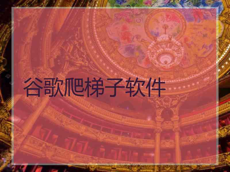 谷歌爬梯子软件