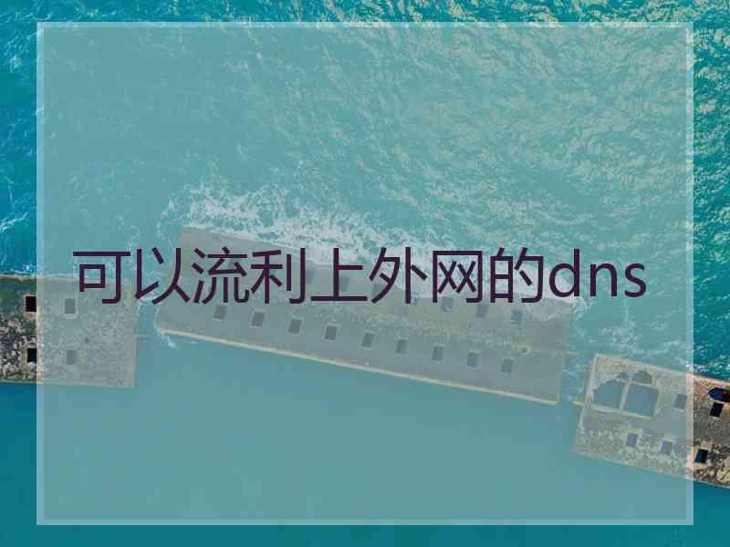 可以流利上外网的dns