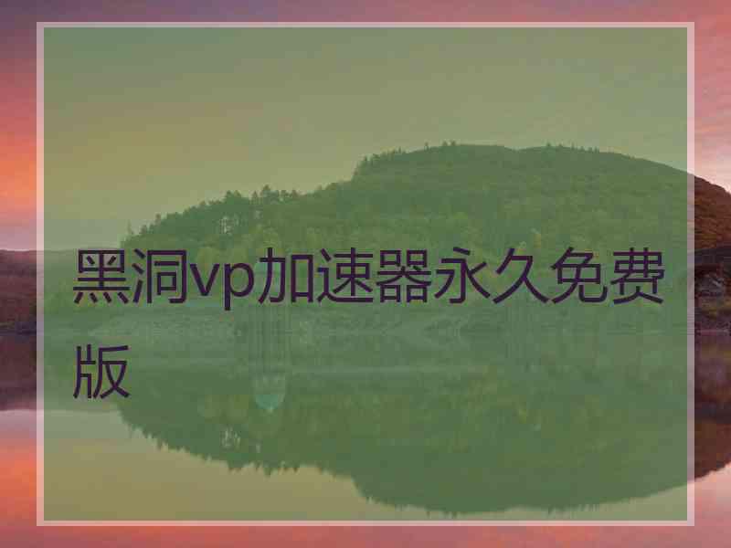 黑洞vp加速器永久免费版