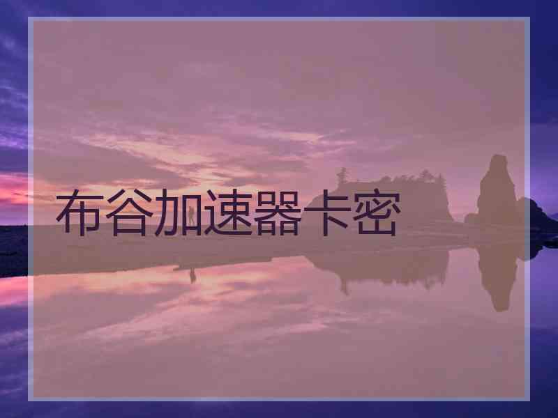 布谷加速器卡密