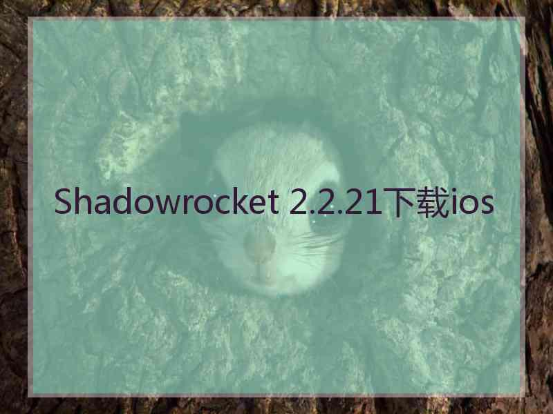 Shadowrocket 2.2.21下载ios