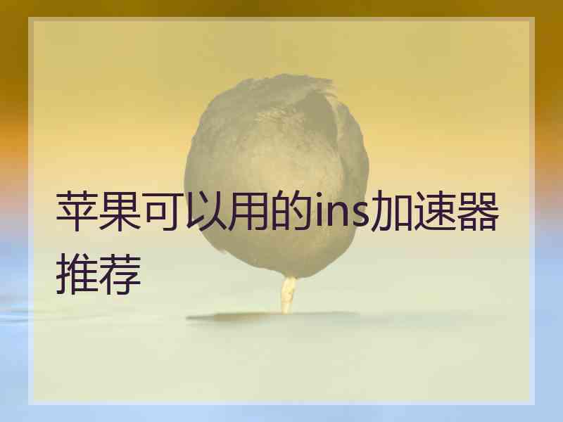 苹果可以用的ins加速器推荐