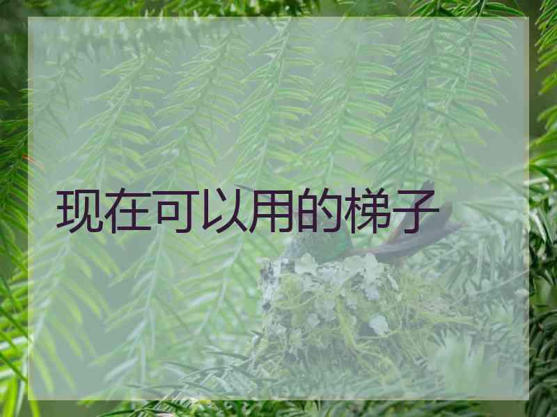 现在可以用的梯子