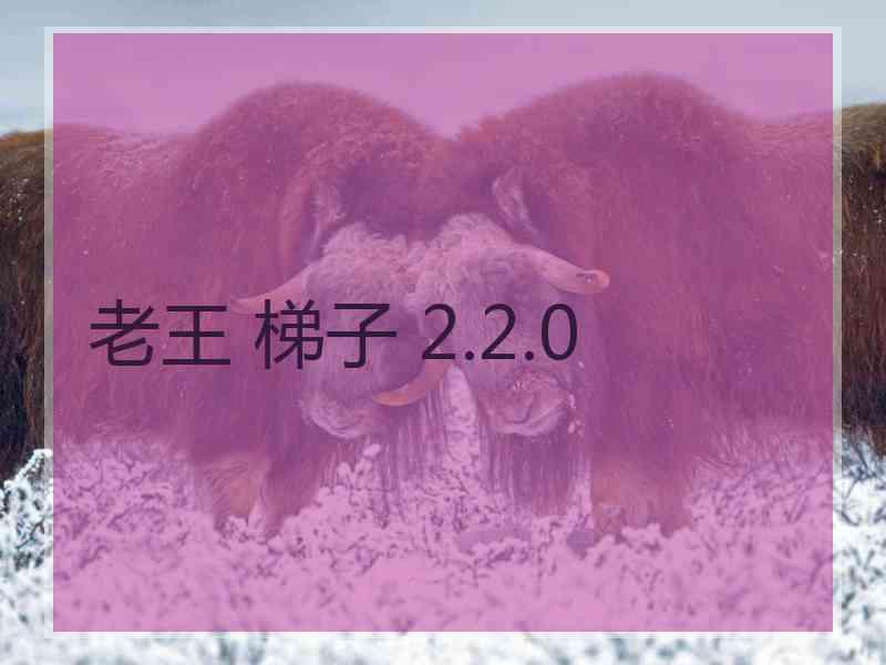 老王 梯子 2.2.0