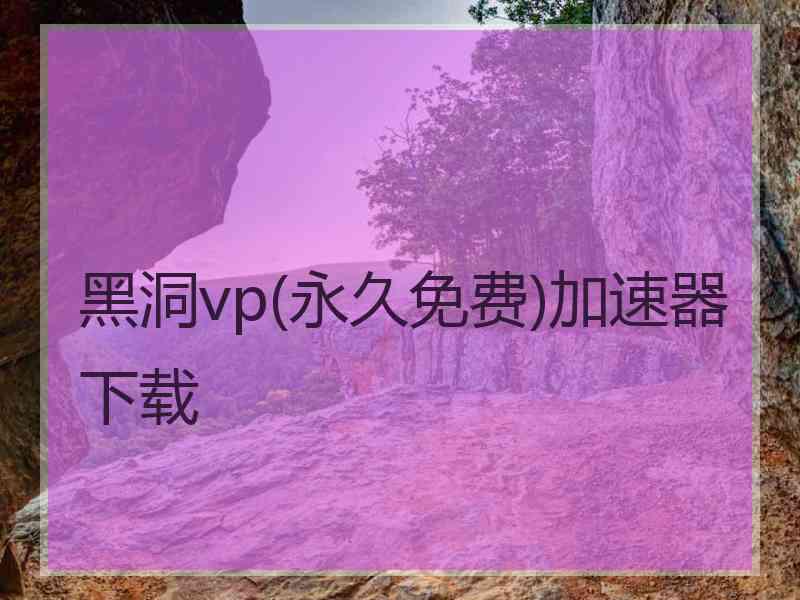 黑洞vp(永久免费)加速器下载